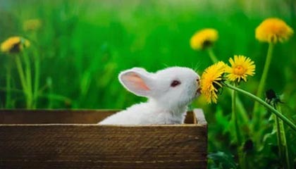 C罗这场不只进球,边路套上的细节才是答案:细节比比分更刺眼