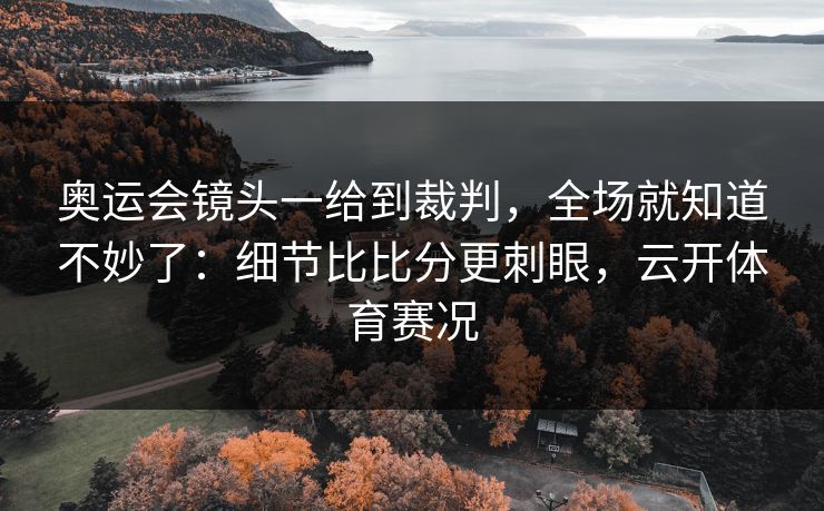 奥运会镜头一给到裁判,全场就知道不妙了:细节比比分更刺眼,云开体育赛况